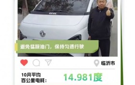 东风睿立达省电达人故事系列（八） “VAN”转人生：从油转电 杨癸华的“经济小账本”
